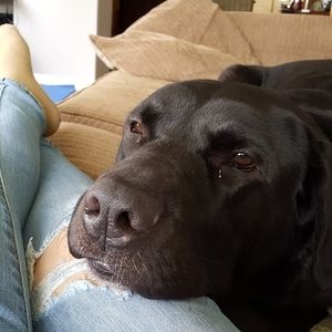 Meet your Posher, Abigail